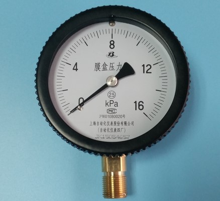 YE-100膜盒压力表
